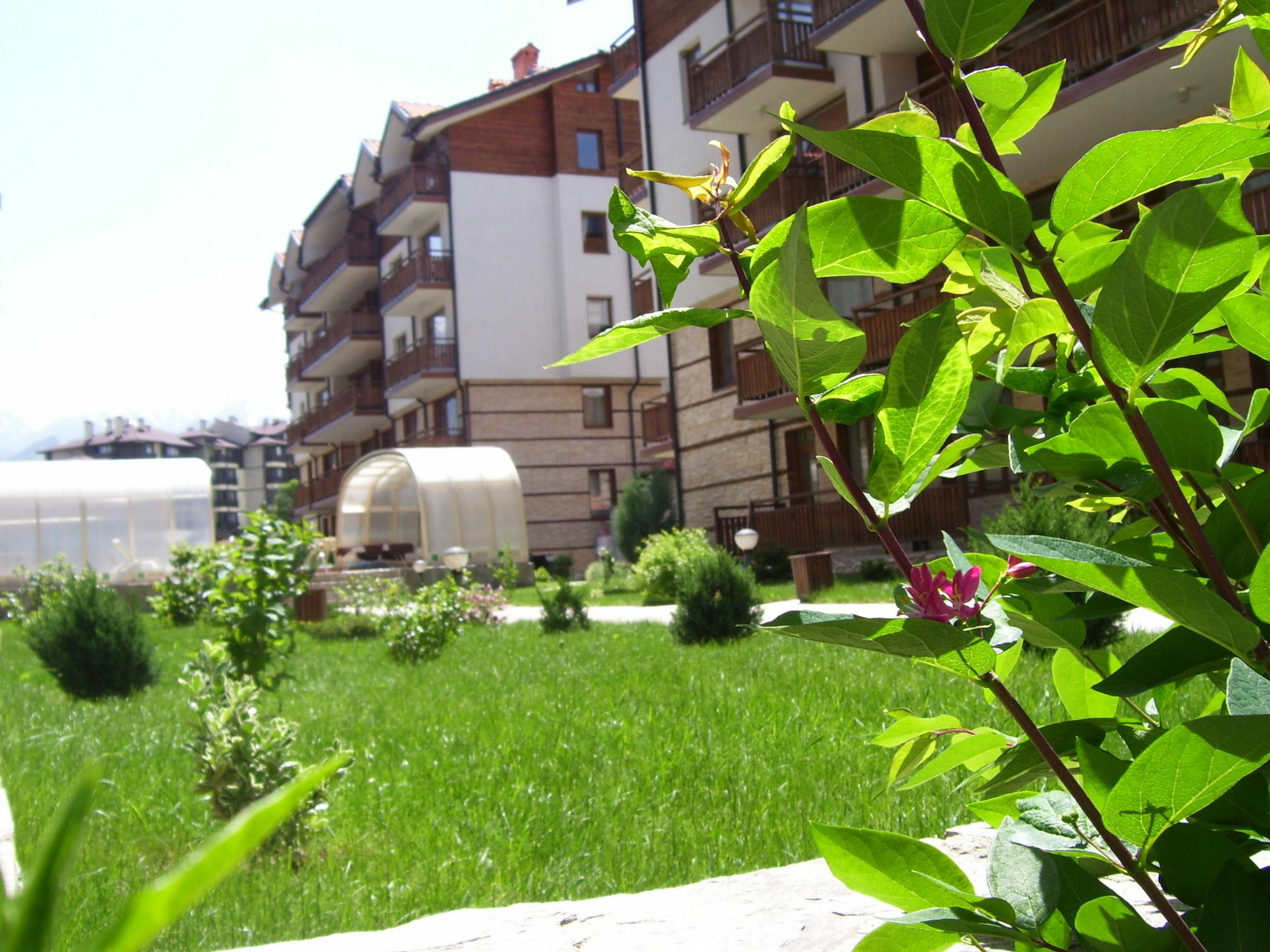 Apartments Four Leaf Clover Bansko To Rent Exterior photo